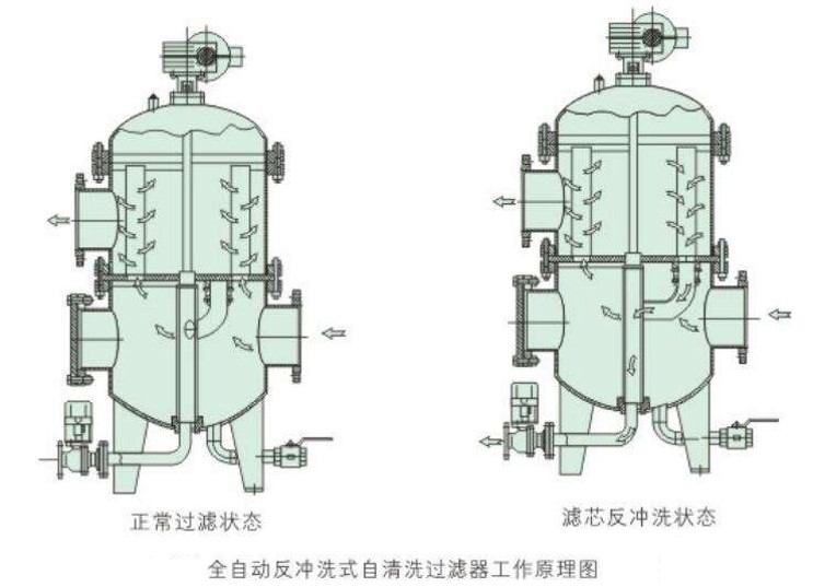 图片6